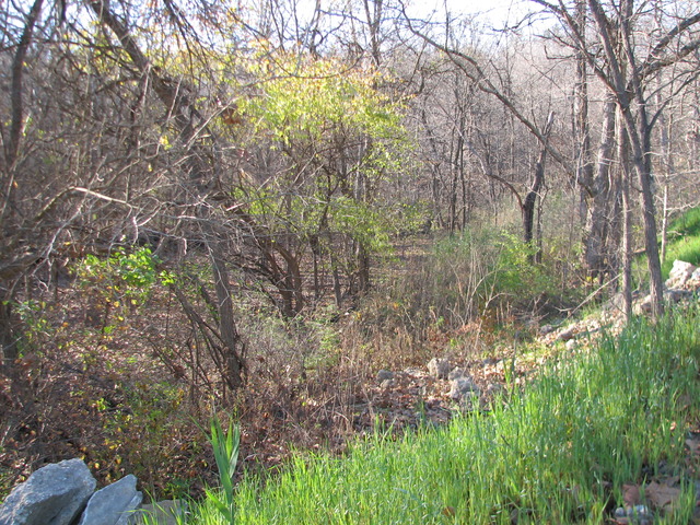 2395 East 29th Road Seneca, IL 61360 - Photo 5 of 24