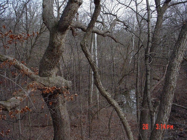 2395 East 29th Road Seneca, IL 61360 - Photo 8 of 24