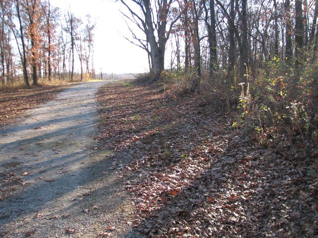 2395 East 29th Road Seneca, IL 61360 - Photo 9 of 24