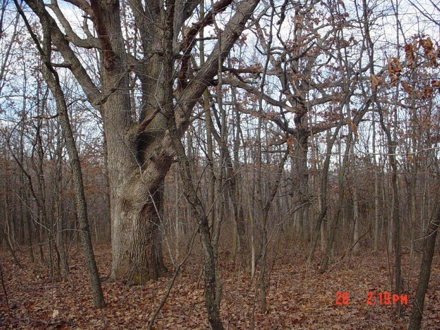 2395 East 29th Road Seneca, IL 61360 - Photo 10 of 24