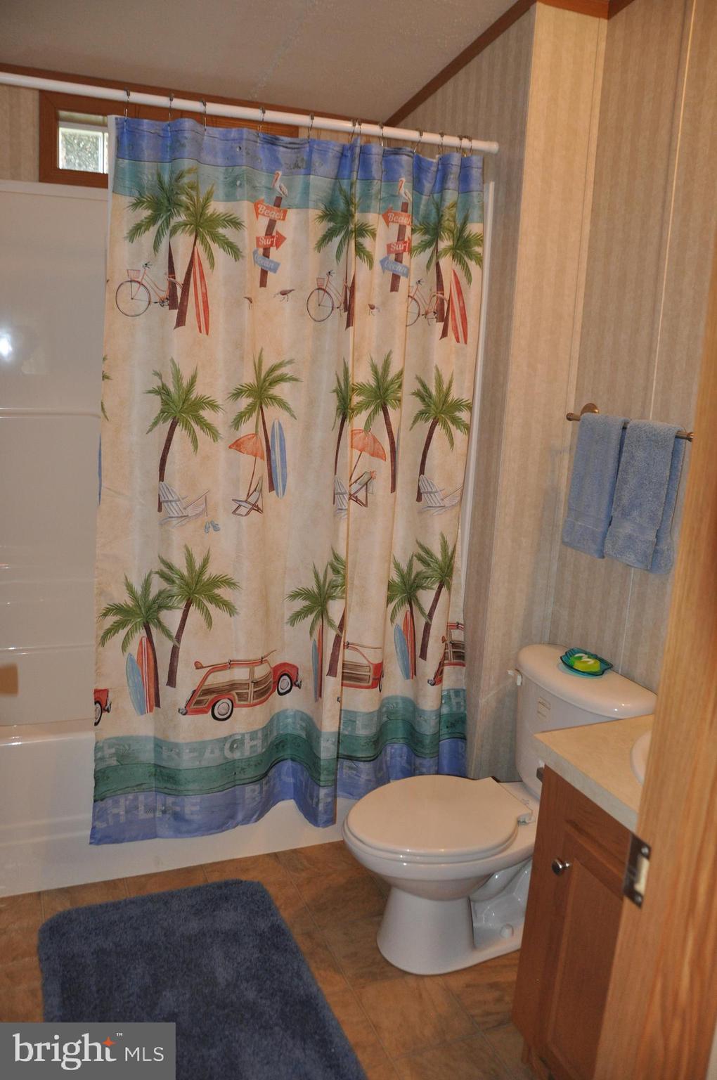 31799 Siham Road Lewes, DE 19958 - Photo 8 of 10 GUEST BATH
