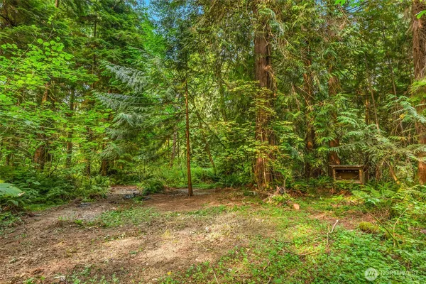 a backyard of a house with lots of plants and large tree