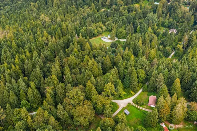 a view of plants and trees