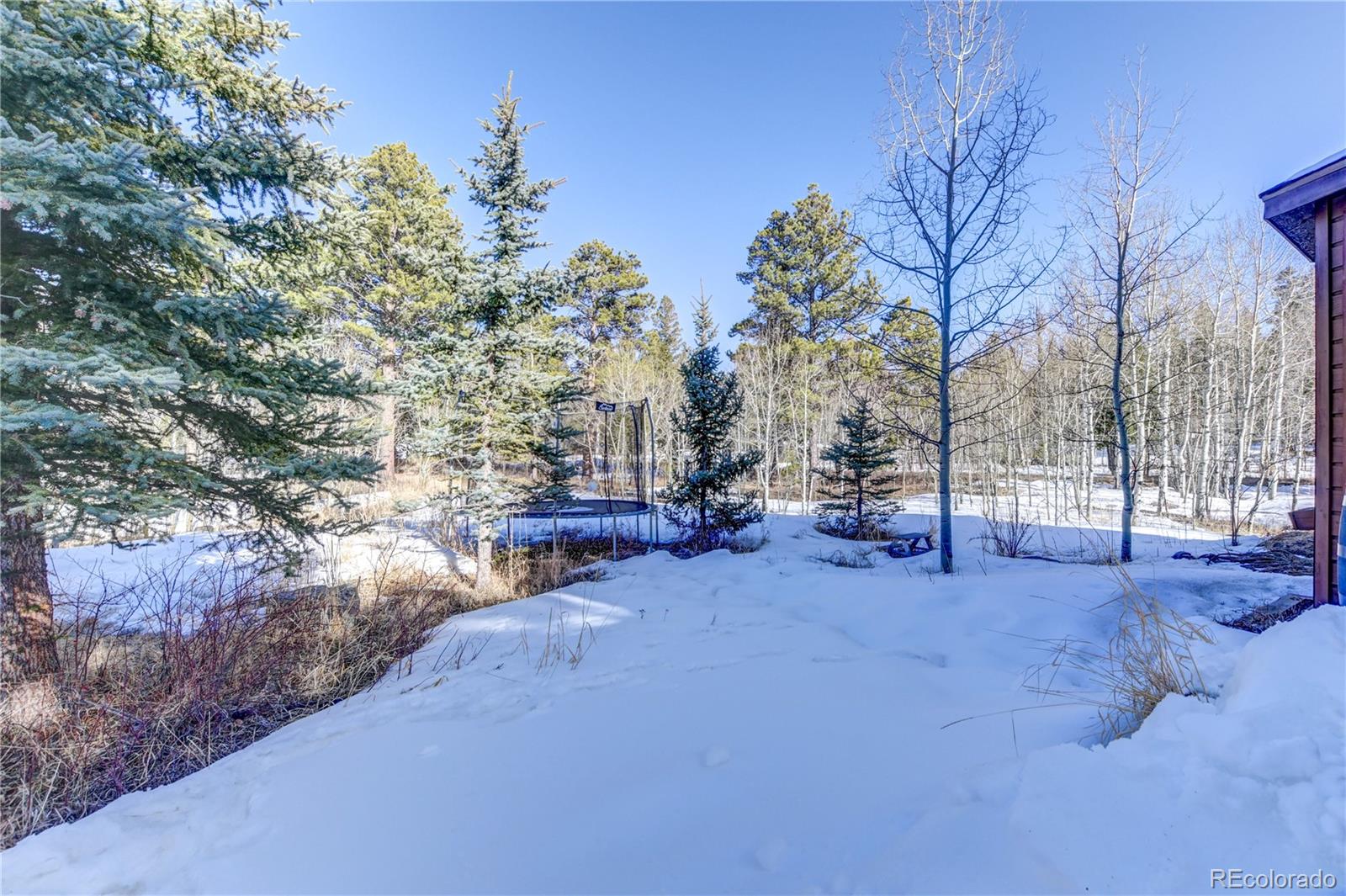 186 Thunder Ridge Road South Nederland, CO 80466 - Photo 47 of 50