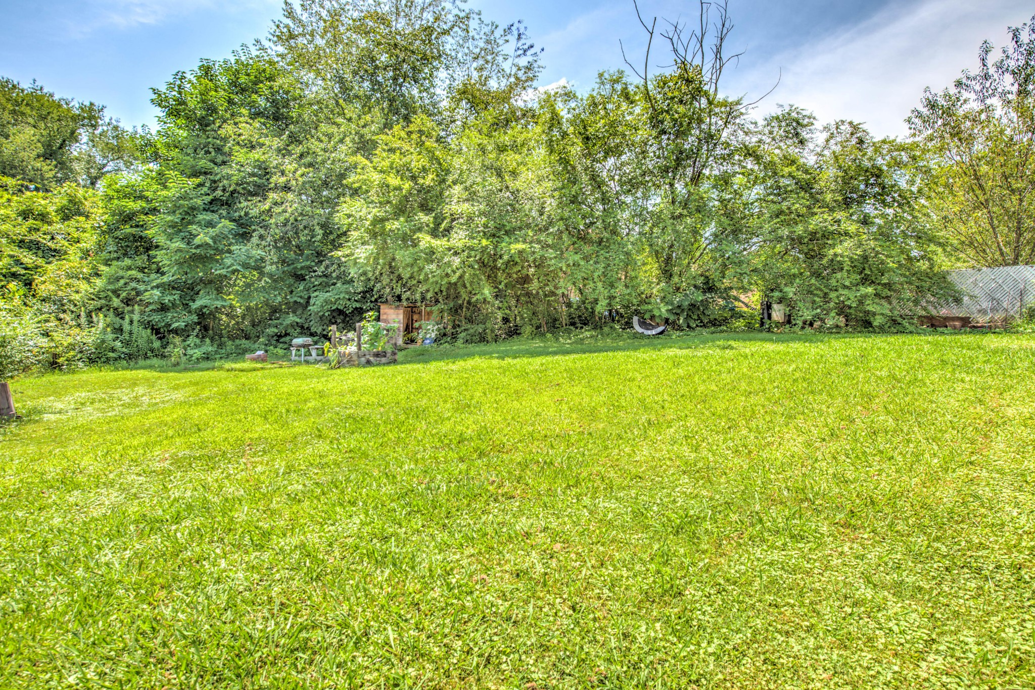 167 Johnson Road Oak Ridge, TN 37830 - Photo 5 of 15 a view of a green field with plants in front of it