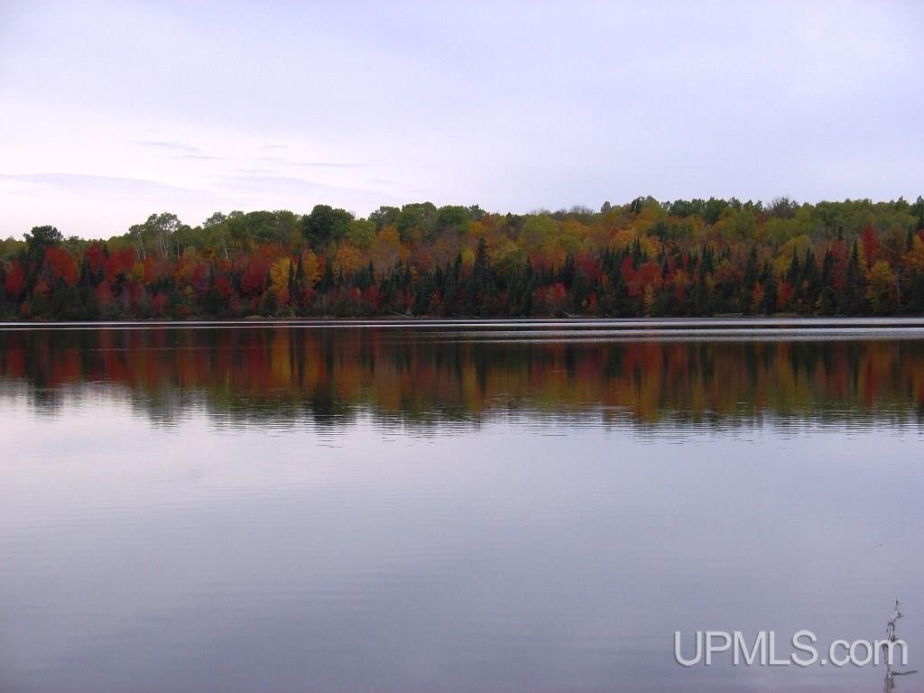 Off East Hawk Lake Road, Unit 3 Marenisco, MI 49947 - Photo 16 of 18