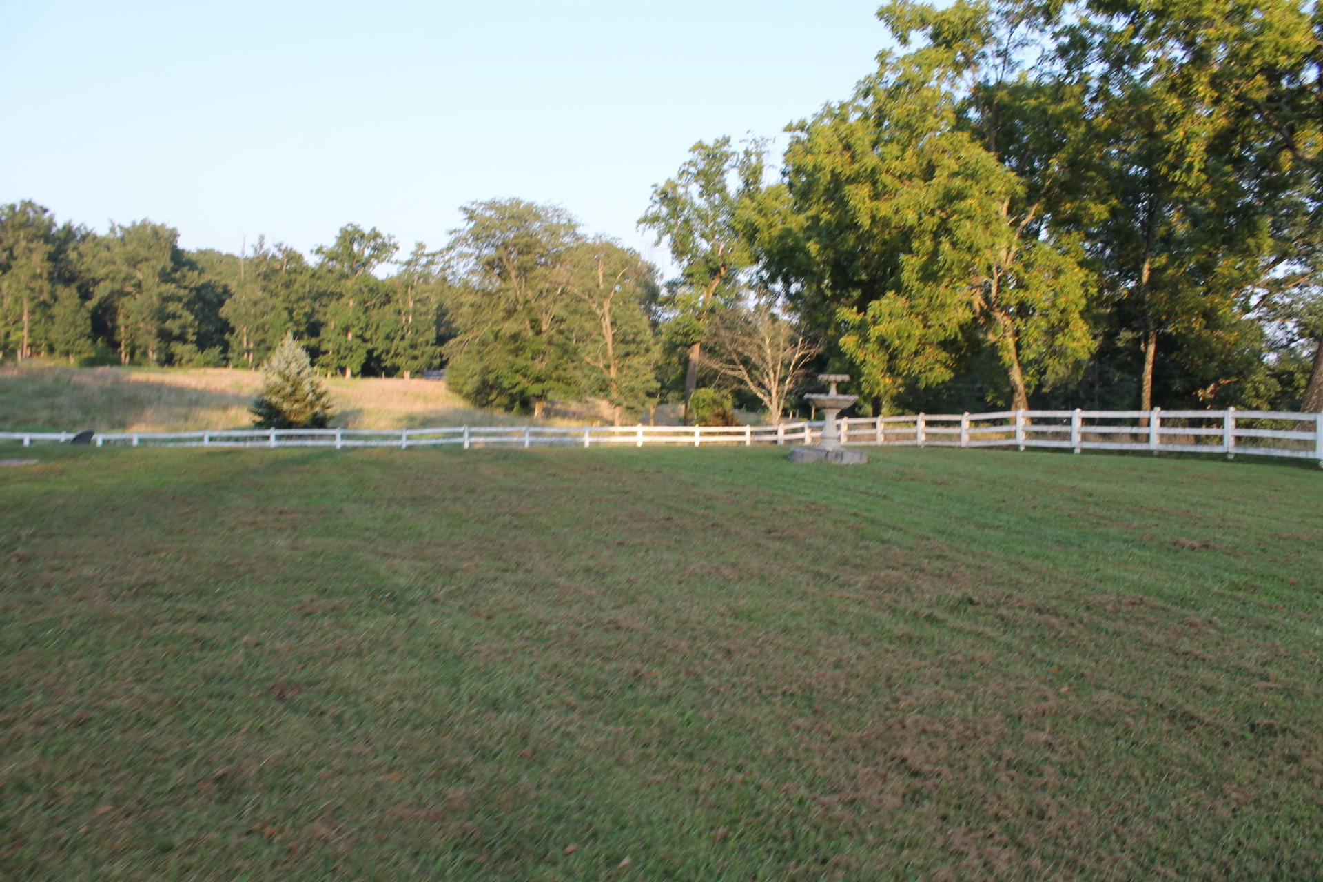 1145 Fralin Lane Blue Ridge, VA 24064 - Photo 12 of 12 a view of a park with large trees