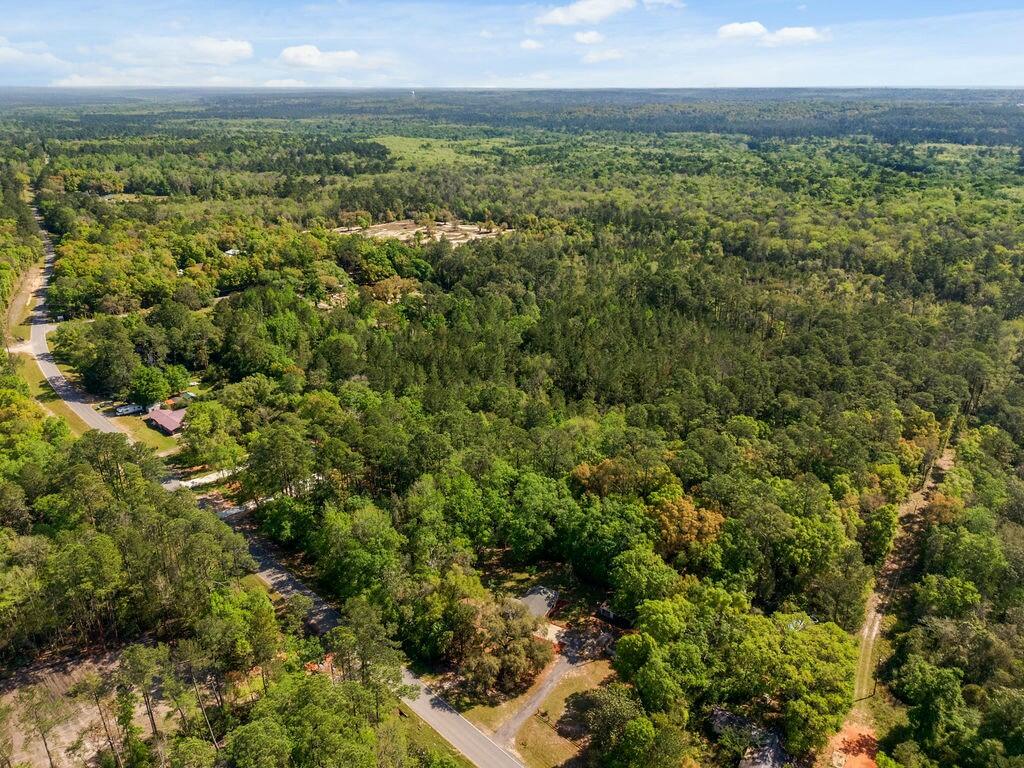 5311 Old River Road Baker, FL 32531 - Photo 44 of 51 tempImageojXYSu