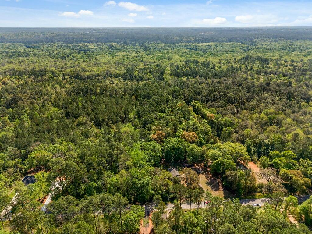 5311 Old River Road Baker, FL 32531 - Photo 46 of 51 tempImageojgi6u