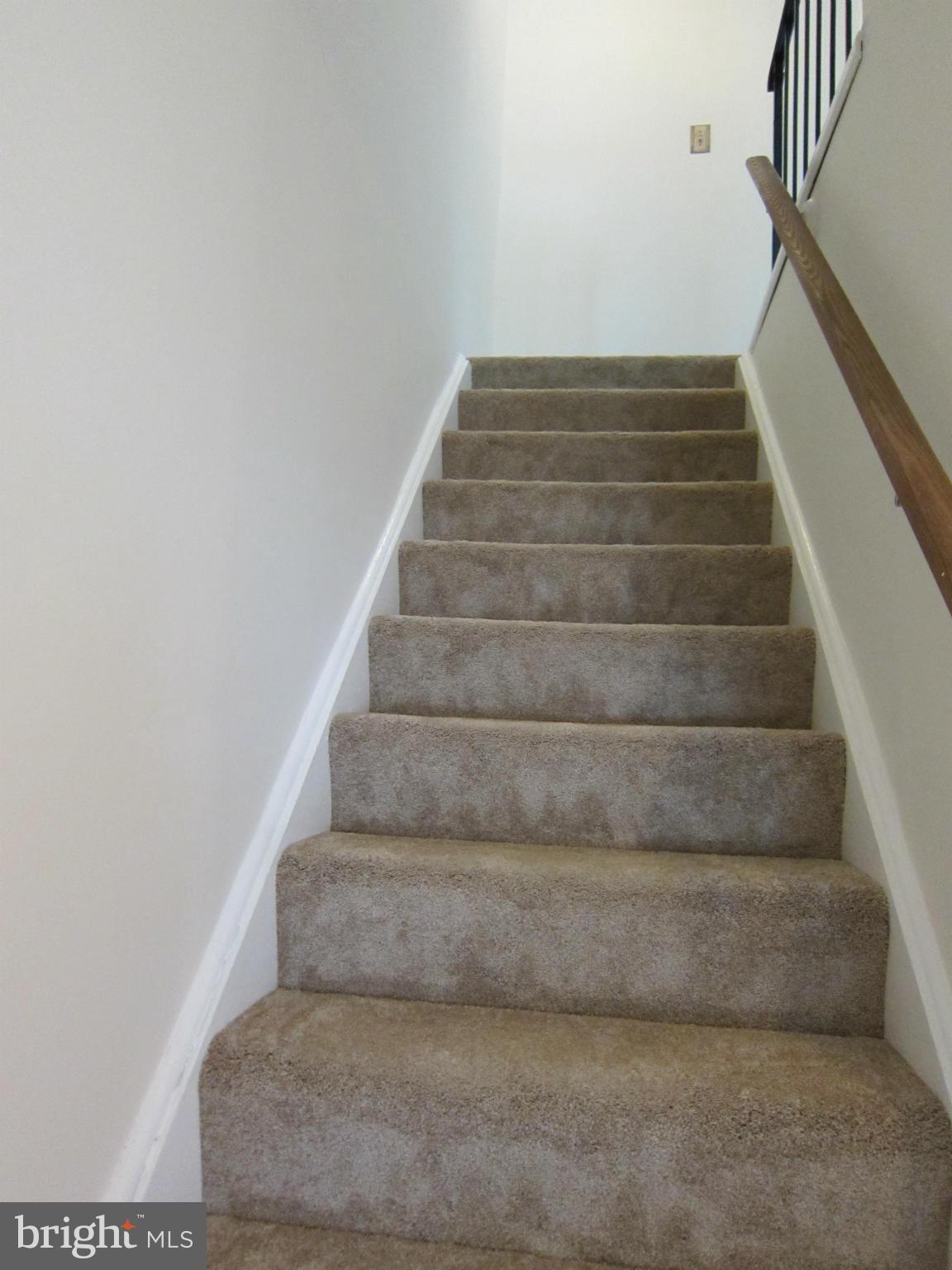 8576 Beacon Point Road Pasadena, MD 21122 - Photo 14 of 17 New Carpet!1