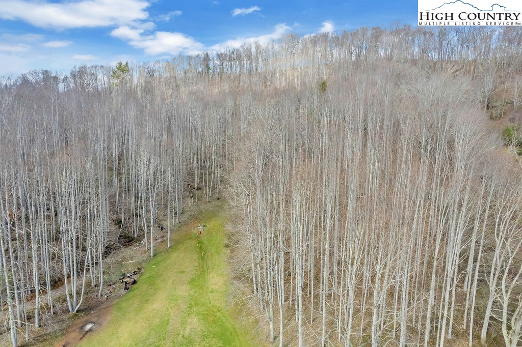 2136 Little Laurel Road Creston, NC 28615 - Photo 13 of 44 a swimming pool with trees in the background