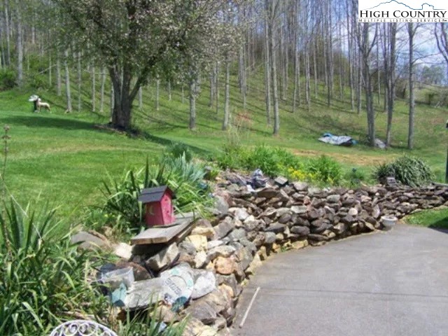 2136 Little Laurel Road Creston, NC 28615 - Photo 39 of 44 a garden view with a seating space