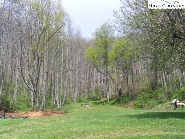 2136 Little Laurel Road Creston, NC 28615 - Photo 40 of 44 a backyard of a house with trees