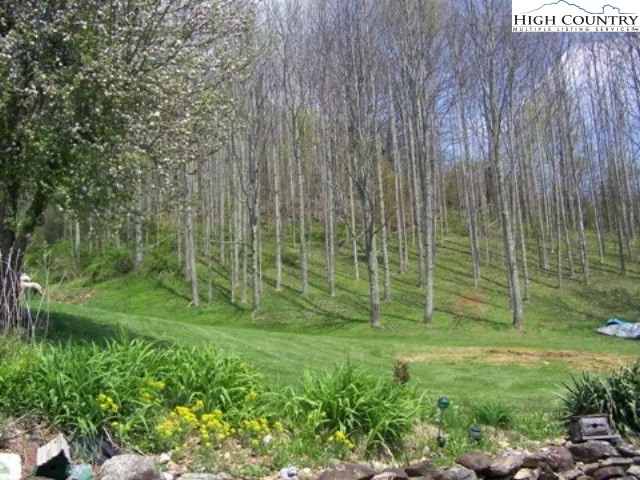 2136 Little Laurel Road Creston, NC 28615 - Photo 41 of 44 a view of a garden