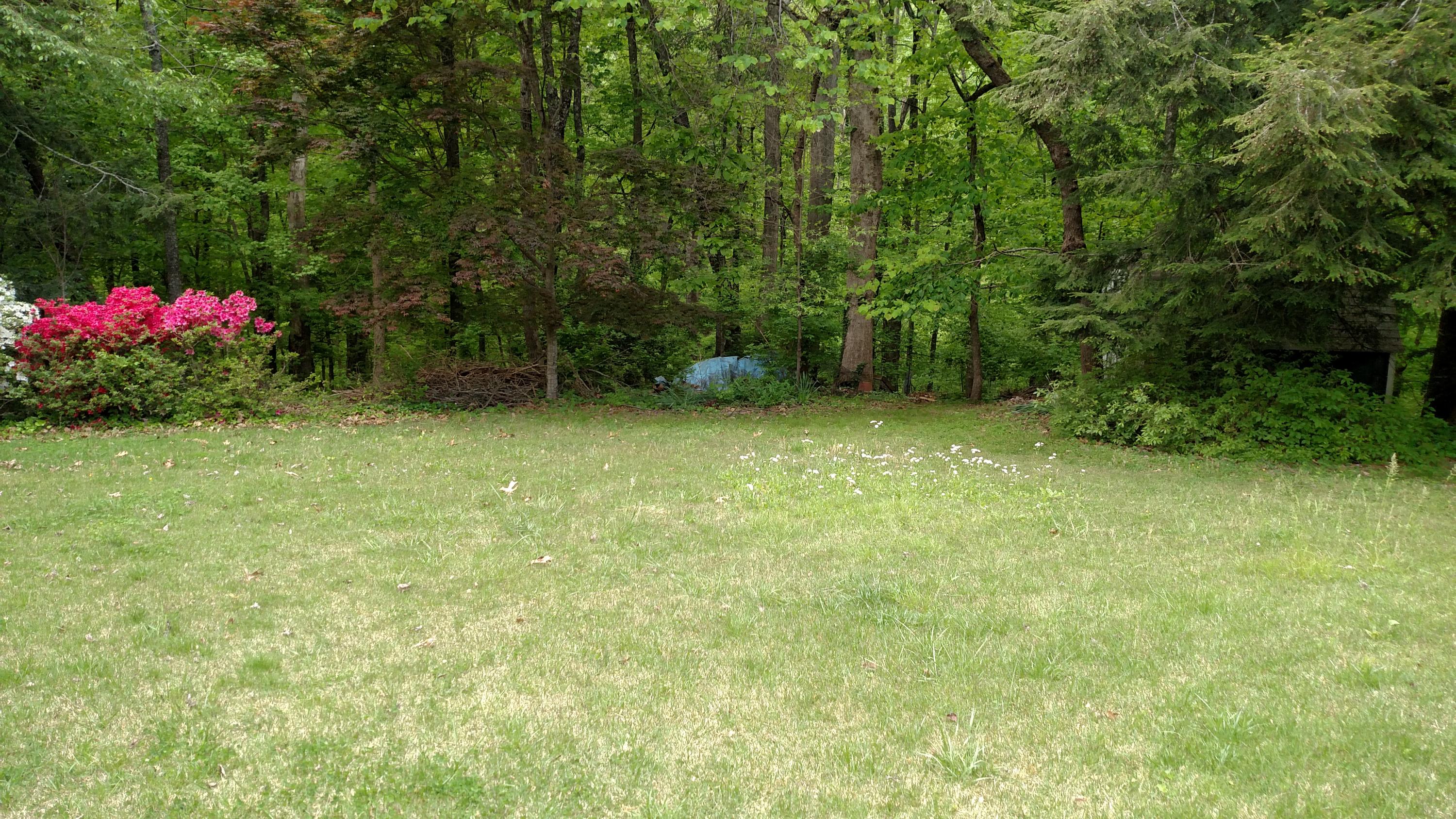112 Meadow Road Oak Ridge, TN 37830 - Photo 17 of 17 IMG_20160426_141318419