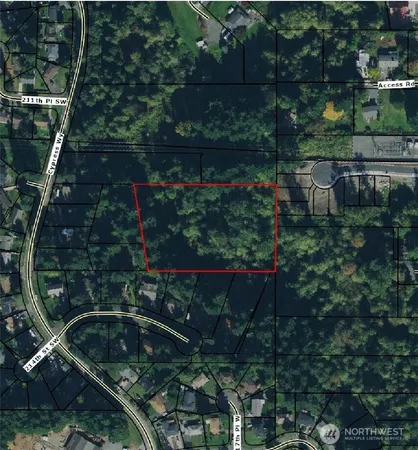 a view of a forest with a forest
