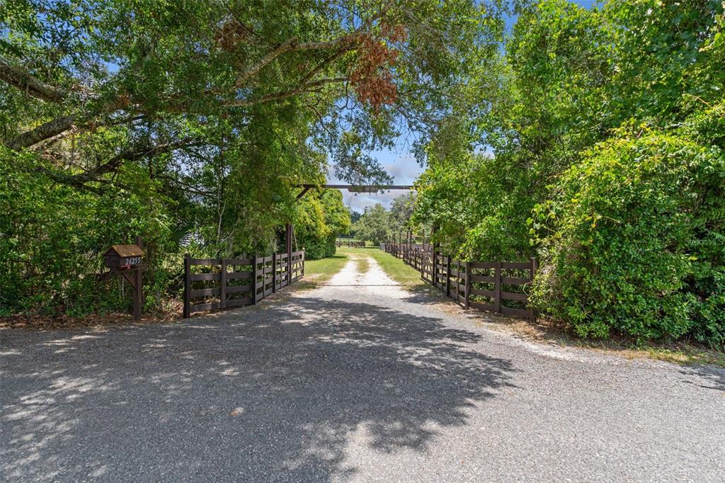 26255 Lambeth Road Brooksville, FL 34601 - Photo 3 of 76 a view of a road with trees in the background