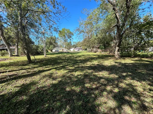 a view of a field with a tree