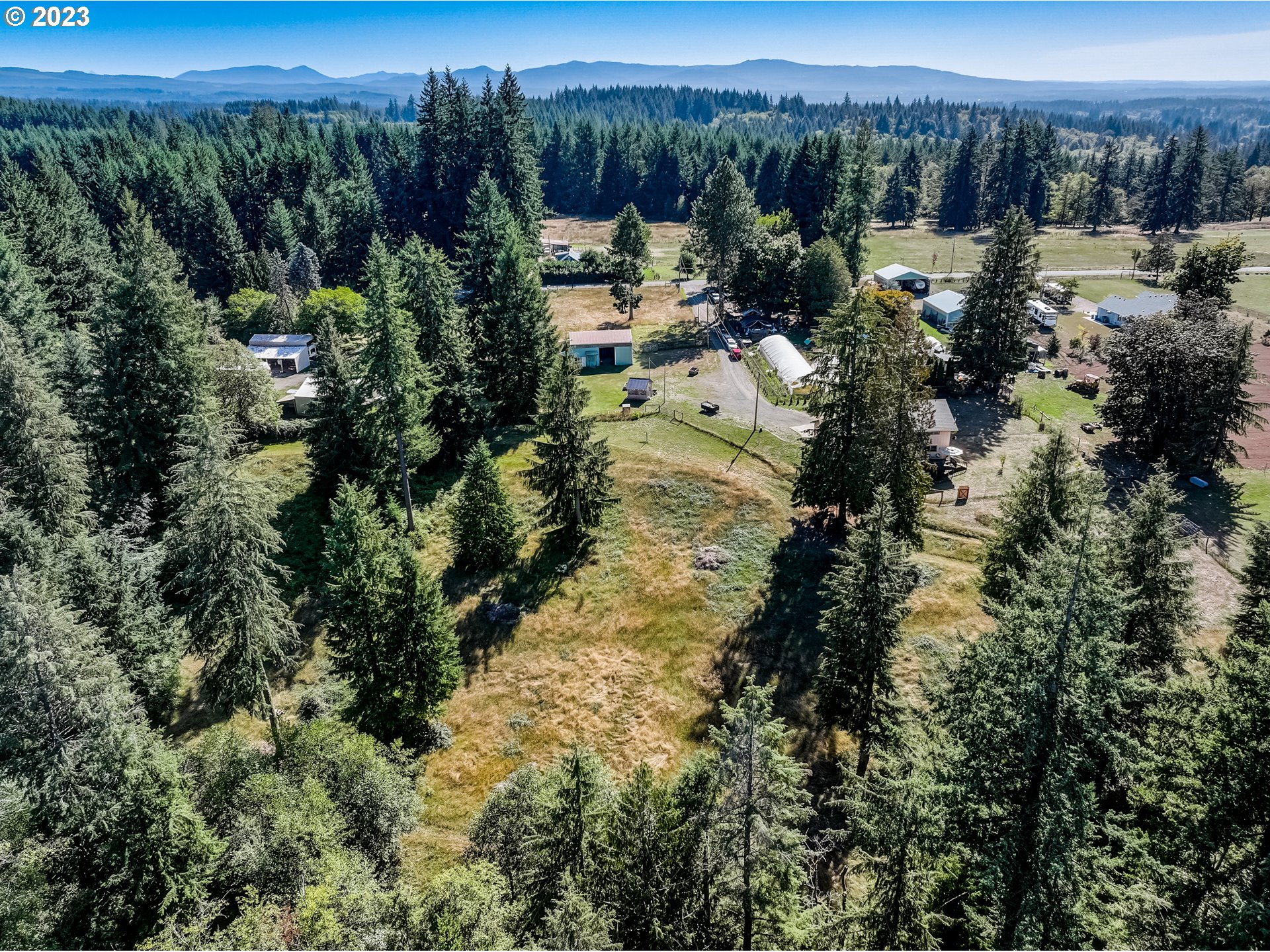 43011 Southeast Keisecker Road Sandy, OR 97055 - Photo 45 of 48 a view of a forest with a forest