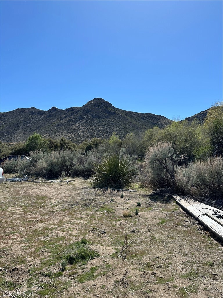 44805 Chapman Road Anza, CA 92539 - Photo 2 of 7 a view of a dry yard with mountains in the background
