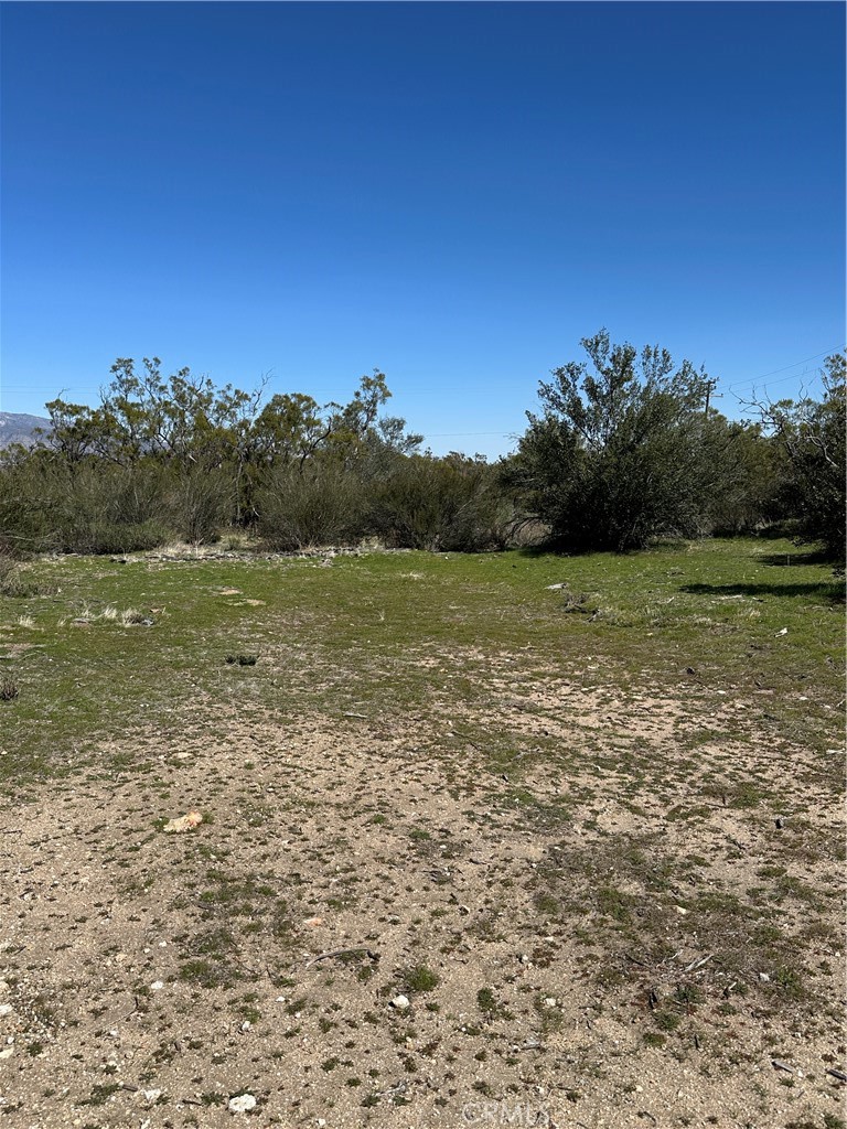 44805 Chapman Road Anza, CA 92539 - Photo 3 of 7 a view of a lake from a yard