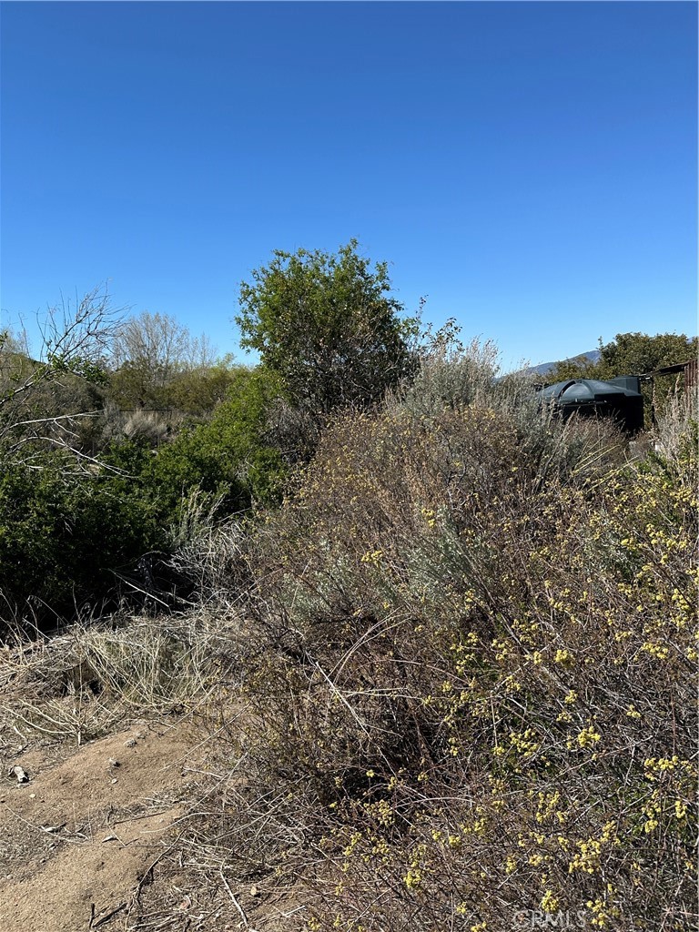 44805 Chapman Road Anza, CA 92539 - Photo 4 of 7 a view of a yard with a tree in the background