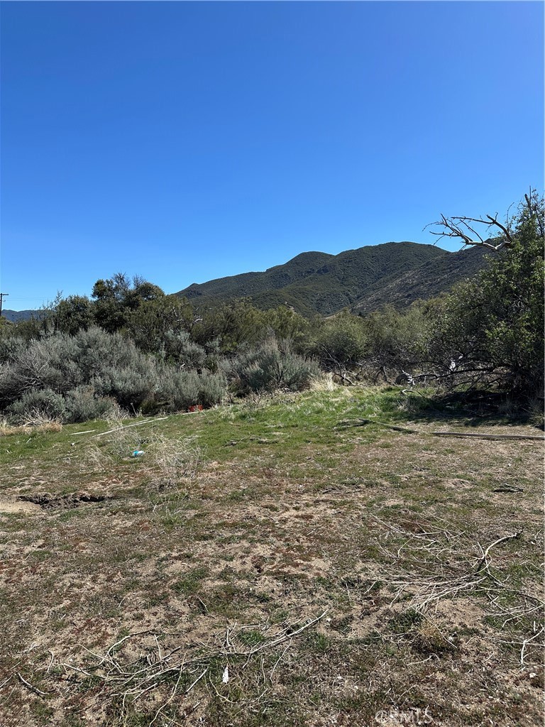 44805 Chapman Road Anza, CA 92539 - Photo 6 of 7 a view of a lake with mountains in the background
