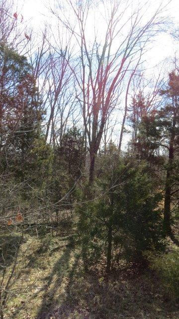 1 Baxter Ridge Road Lawrenceburg, KY 40342 - Photo 12 of 13 Photo 12