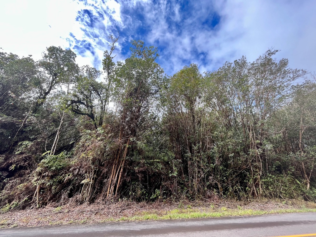 2 South Kulani Road Mountain View, HI 96771 - Photo 1 of 12 Gallery Image 1