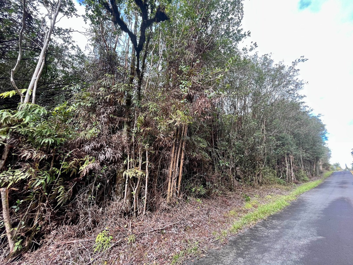 2 South Kulani Road Mountain View, HI 96771 - Photo 12 of 12 Gallery Image 12