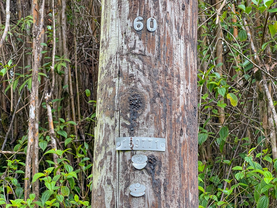 2 South Kulani Road Mountain View, HI 96771 - Photo 8 of 12 Gallery Image 8