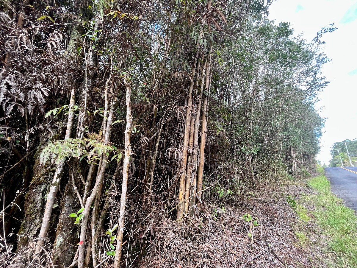 2 South Kulani Road Mountain View, HI 96771 - Photo 9 of 12 Gallery Image 9