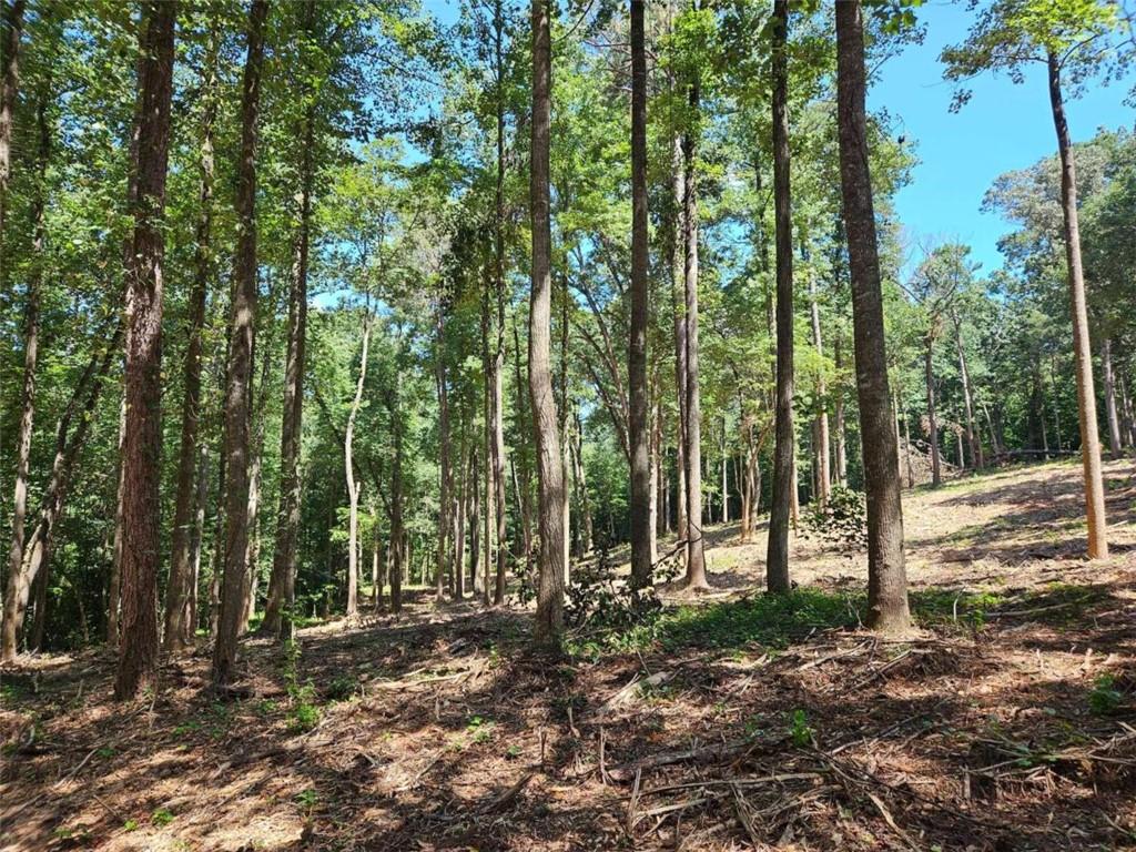 0 Whitetrail Ridge Dawsonville, GA 30534 - Photo 1 of 1 a backyard of a house with lots of green space
