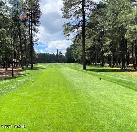 7487 Geronimo Road Pinetop, AZ 85935 - Photo 36 of 44