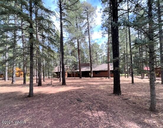 7487 Geronimo Road Pinetop, AZ 85935 - Photo 38 of 44