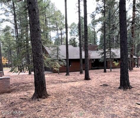 7487 Geronimo Road Pinetop, AZ 85935 - Photo 4 of 44