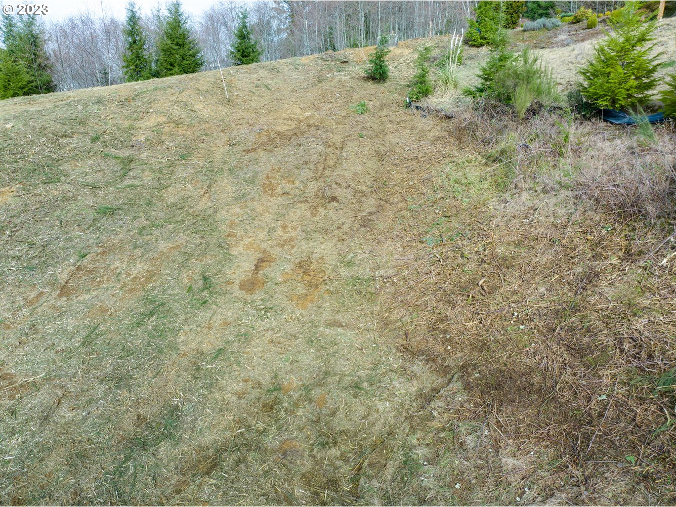 1903 North Fork Road Seaside, OR 97138 - Photo 9 of 31 Gallery Image 9
