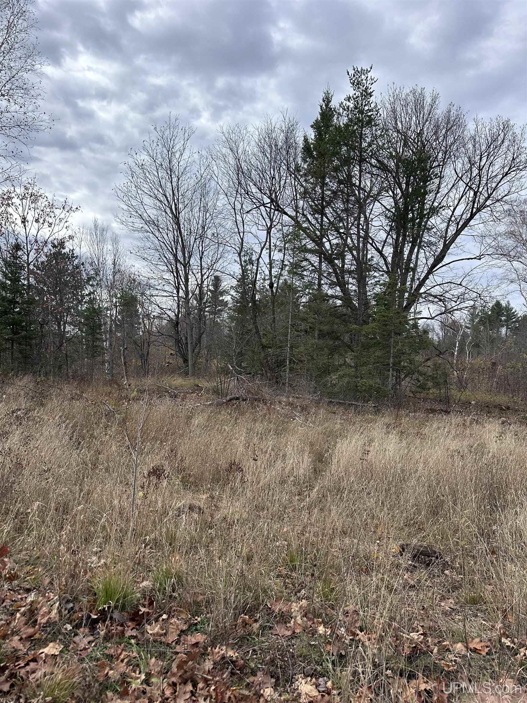 Tbd Co Rd 496 (b) Road, Unit PARCEL B Champion, MI 49814 - Photo 7 of 33