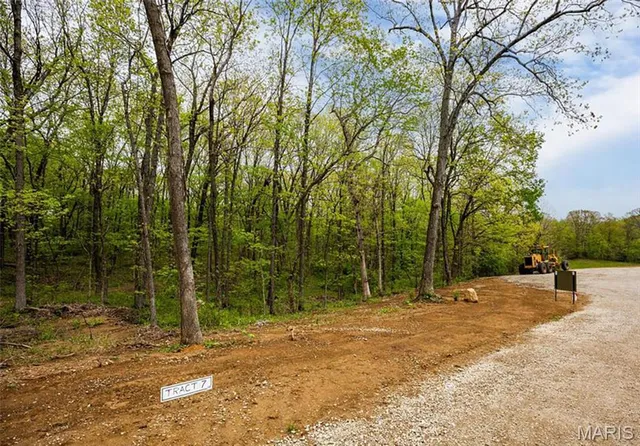 $90,000 | 101 Weeks Lane, Litchfield, IL 62056