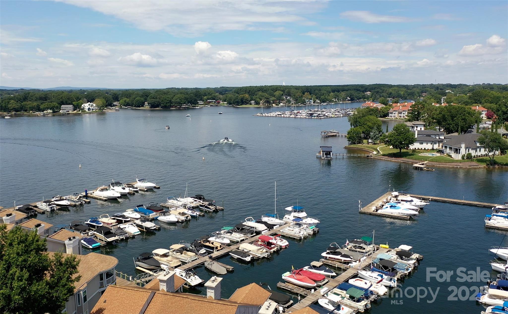 18647 Vineyard Point Lane Cornelius, NC 28031 - Photo 4 of 36 a lake view
