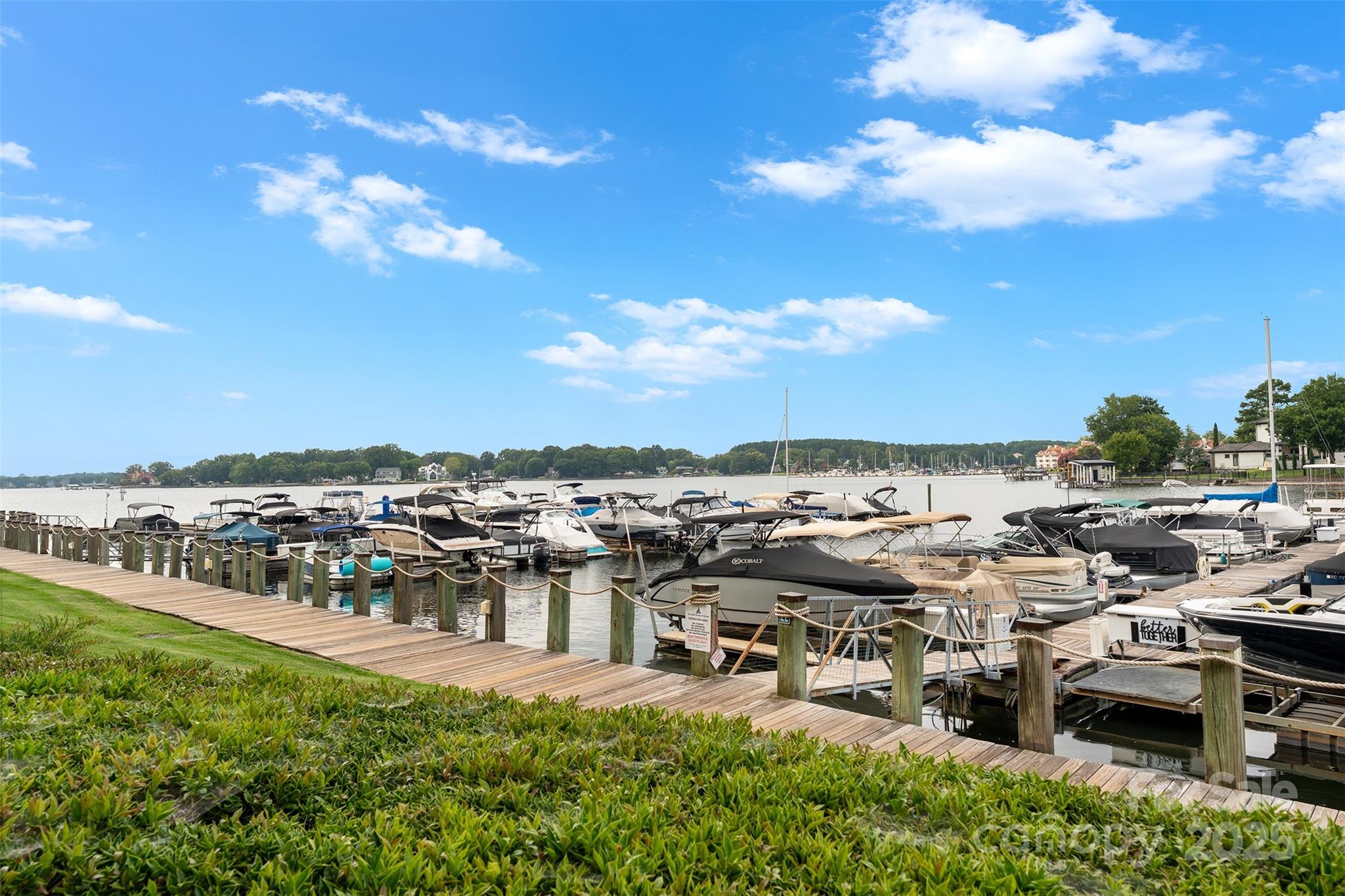 18647 Vineyard Point Lane Cornelius, NC 28031 - Photo 9 of 36 a view of a city