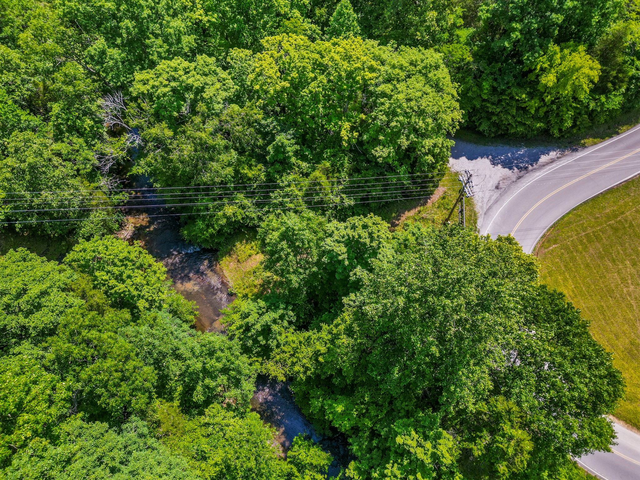 1150 Treanor Springs Road Kingston Springs, TN 37082 - Photo 42 of 48