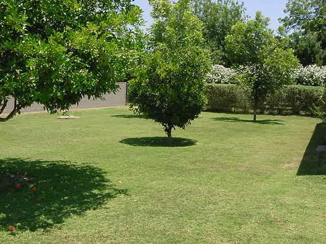 YD