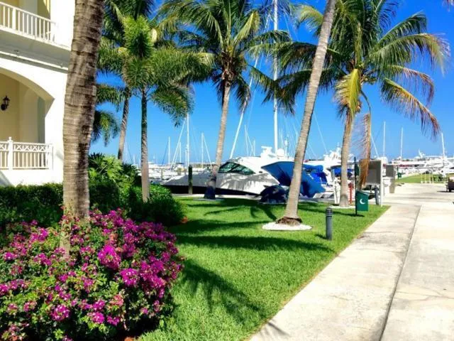 a front view of a house with a garden and covered with swimming pool