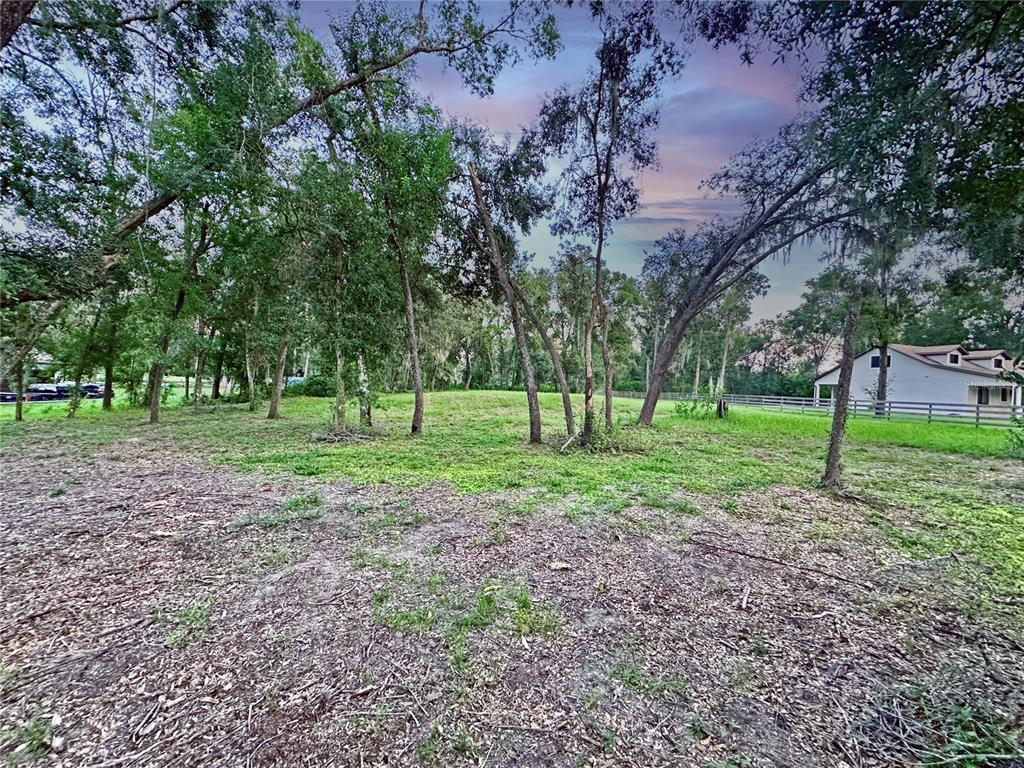 35174 Roth Lane Dade City, FL 33525 - Photo 11 of 22 a view of a trees in a park