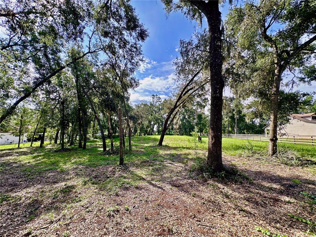 35174 Roth Lane Dade City, FL 33525 - Photo 18 of 22 a view of park with trees