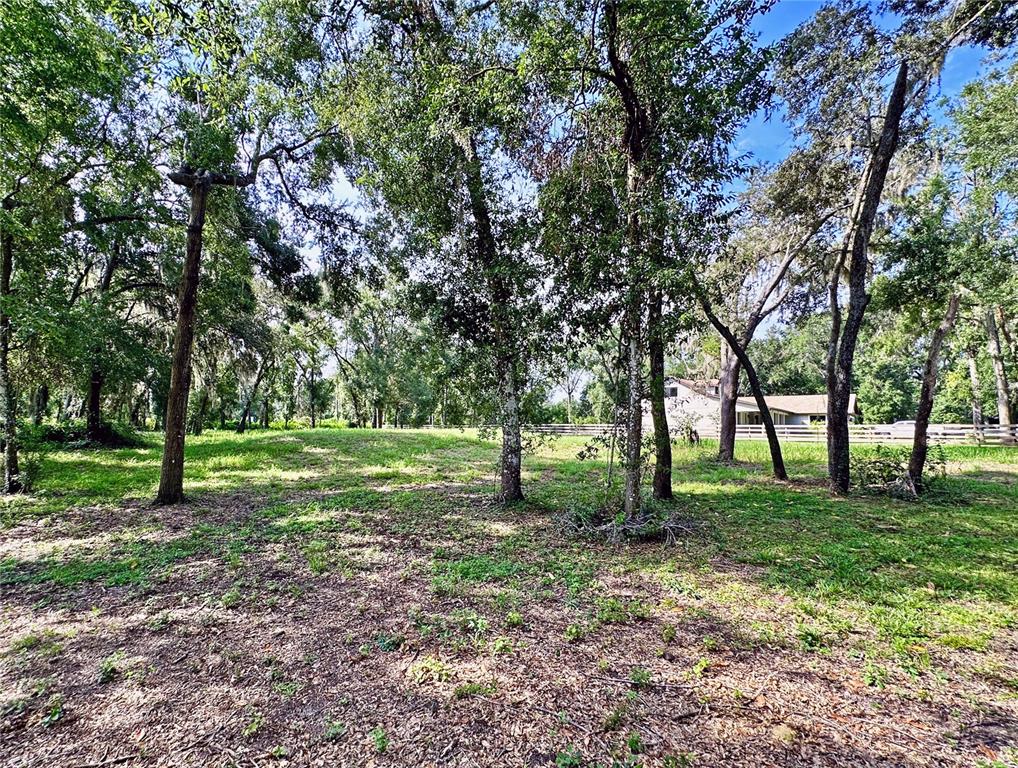 35174 Roth Lane Dade City, FL 33525 - Photo 19 of 22 a view of a tree in a park