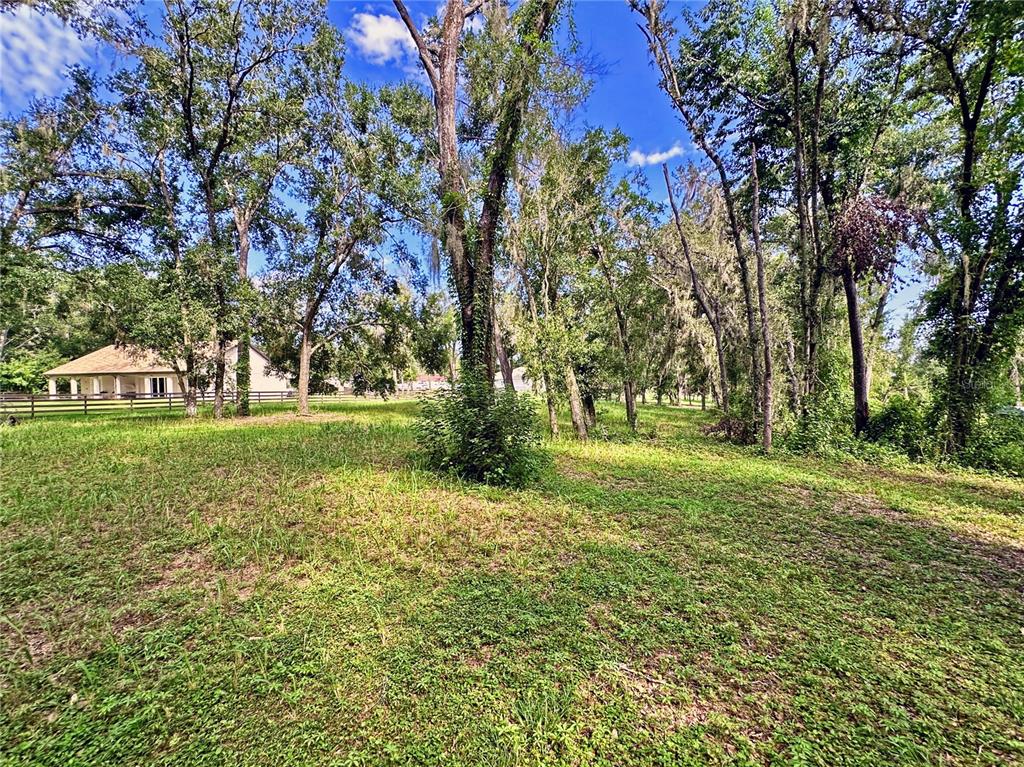 35174 Roth Lane Dade City, FL 33525 - Photo 20 of 22 a view of a park with large trees