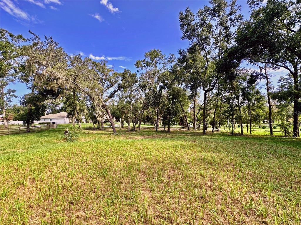 35174 Roth Lane Dade City, FL 33525 - Photo 2 of 22 a view of yard with swimming pool and trees