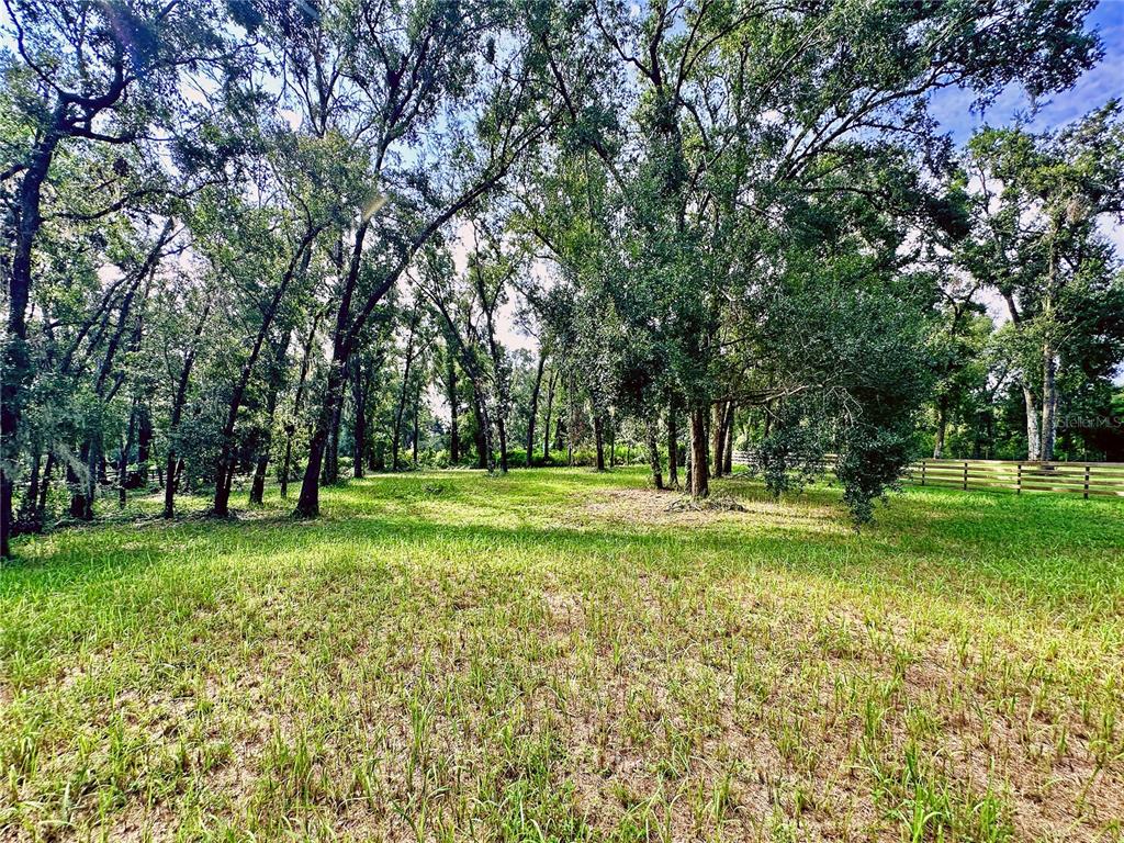35174 Roth Lane Dade City, FL 33525 - Photo 6 of 22 a view of a park with large trees